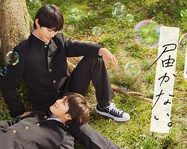 汝州seo排名优化